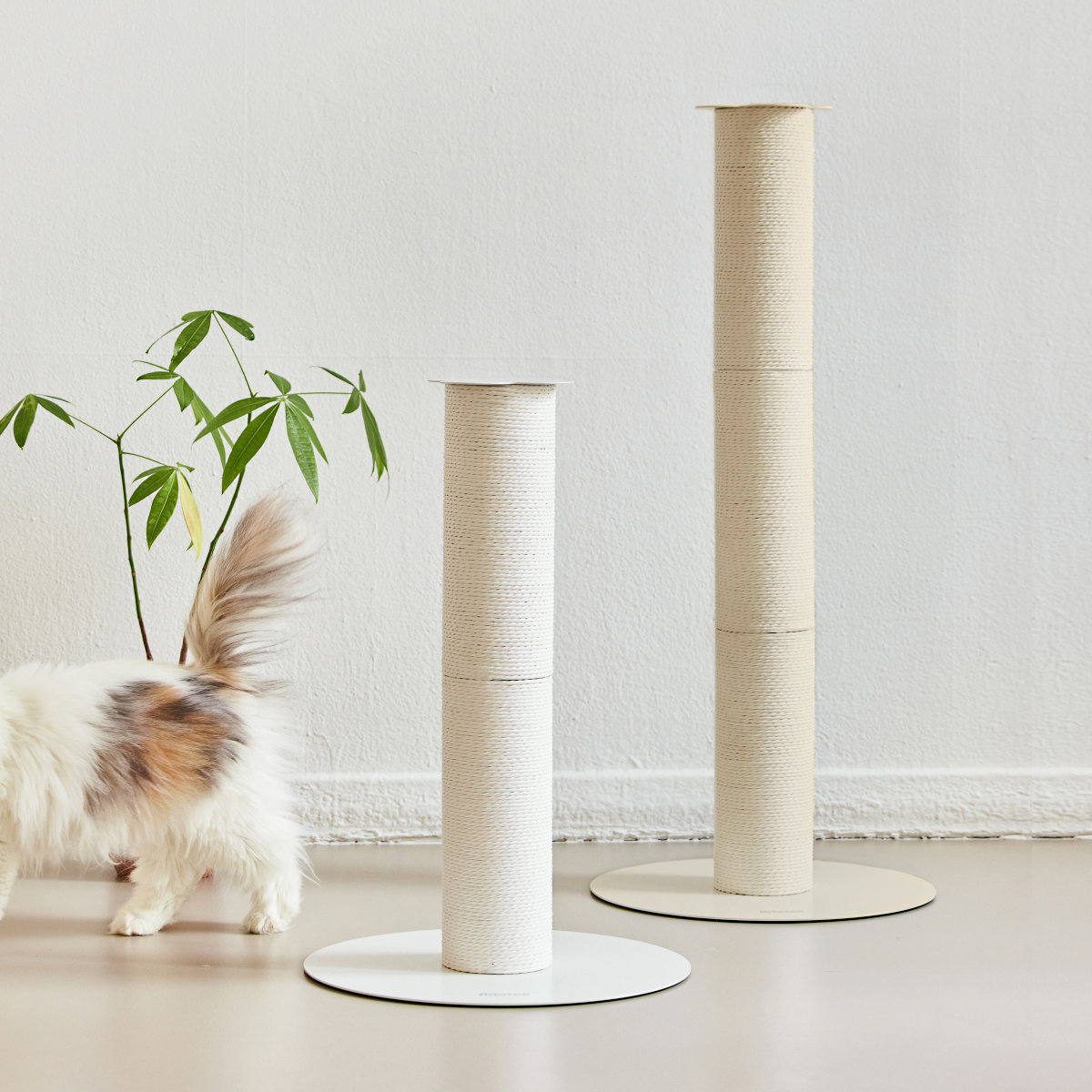 피도테일 고양이 클로버 페이퍼 로프 수직 기둥 스크래쳐