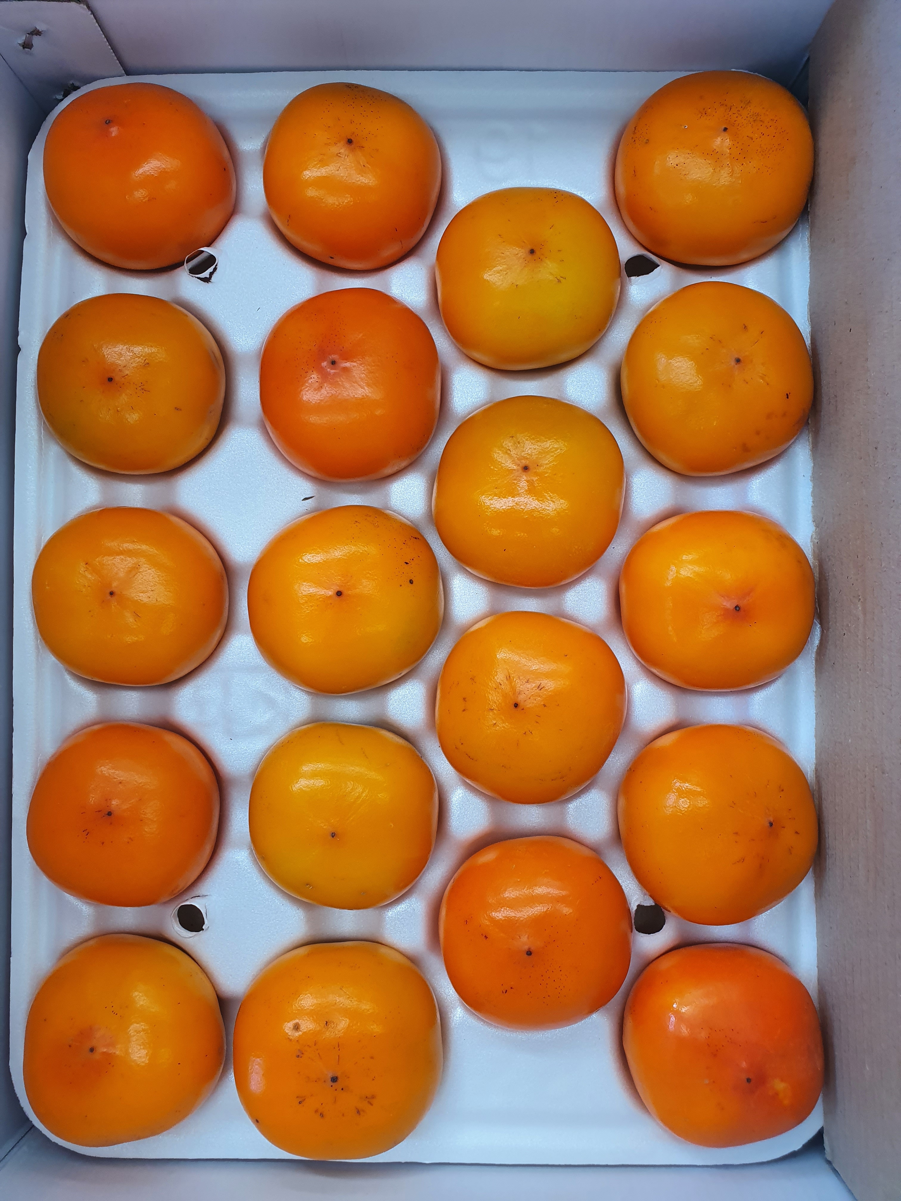 씨없는감 홍시 반시감 5kg 2.5kg 1박스 - 상세 이미지 4