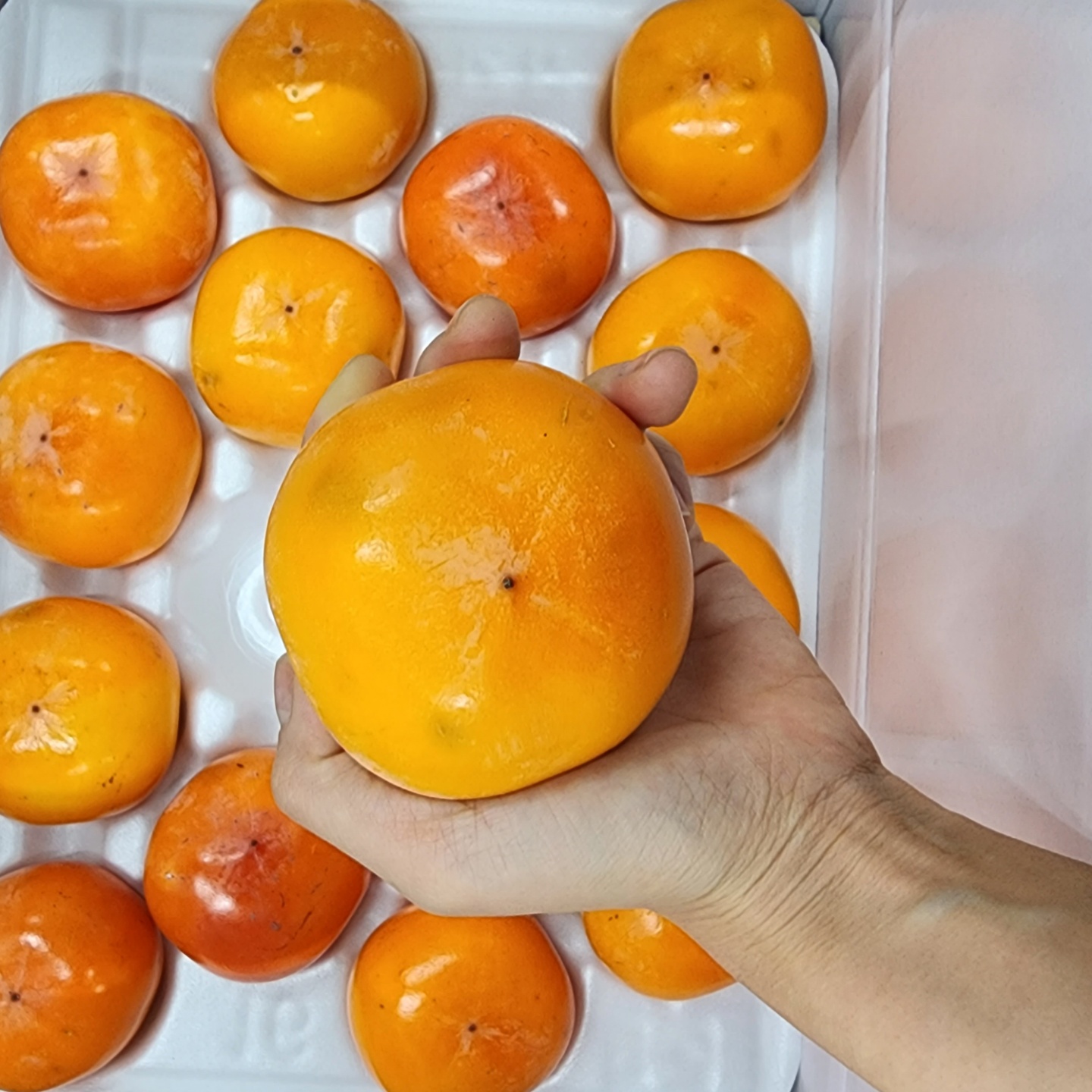 씨없는감 홍시 반시감 5kg 2.5kg 1박스 - 상세 이미지 3