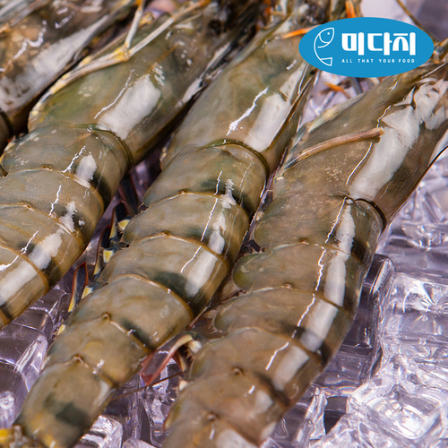 미다지 얼룩 블랙타이거 대왕 새우 10/12미 500g 2개 바베큐 소금구이 가족모임음식 - 상세 이미지 4