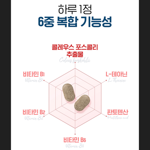 닥터브라이언 콜레우스포스콜리 30정 6병 6개월 체지방 스트레스 활력 포스콜린 테아닌 - 상세 이미지 5