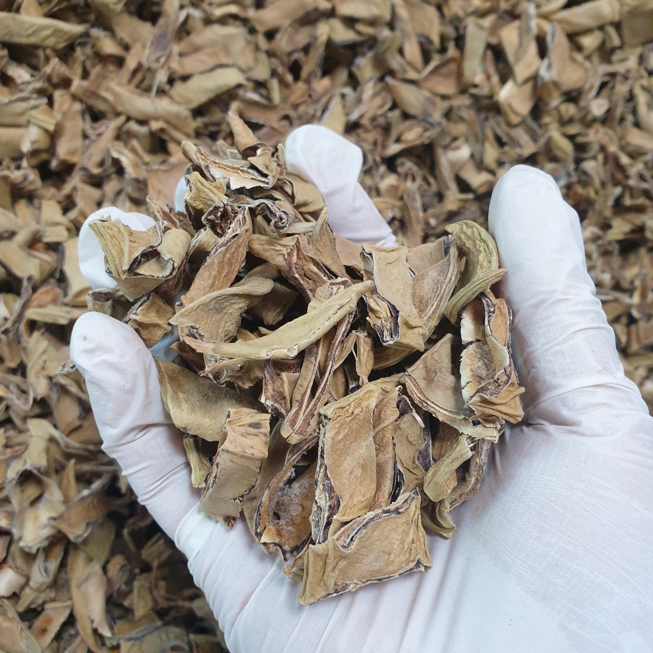 [유기농곳간] 유기농 작두콩차 100g+100g(2봉) 국산 무농약 - 상세 이미지 3