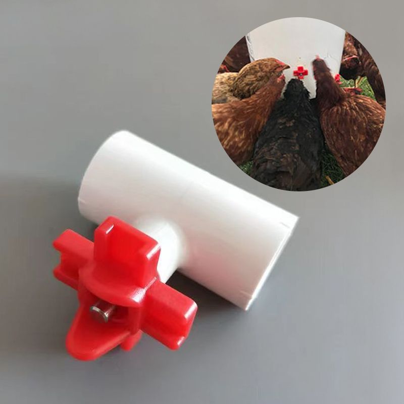 닭 수평 니플 닙플 병아리 닭물통 물통 조류 새 닭장 사육 자동 급수기 새장 물꼭지 모이 - 상세 이미지 3