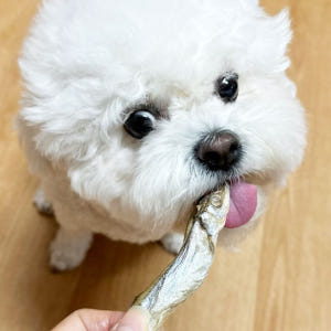 헬로도기 생동감 강아지트릿 대용량 강아지동결건조간식 닭고기(0.5cm),... 솔직 후기 | 실제 사용자 리뷰 총정리 - 상품 이미지 4