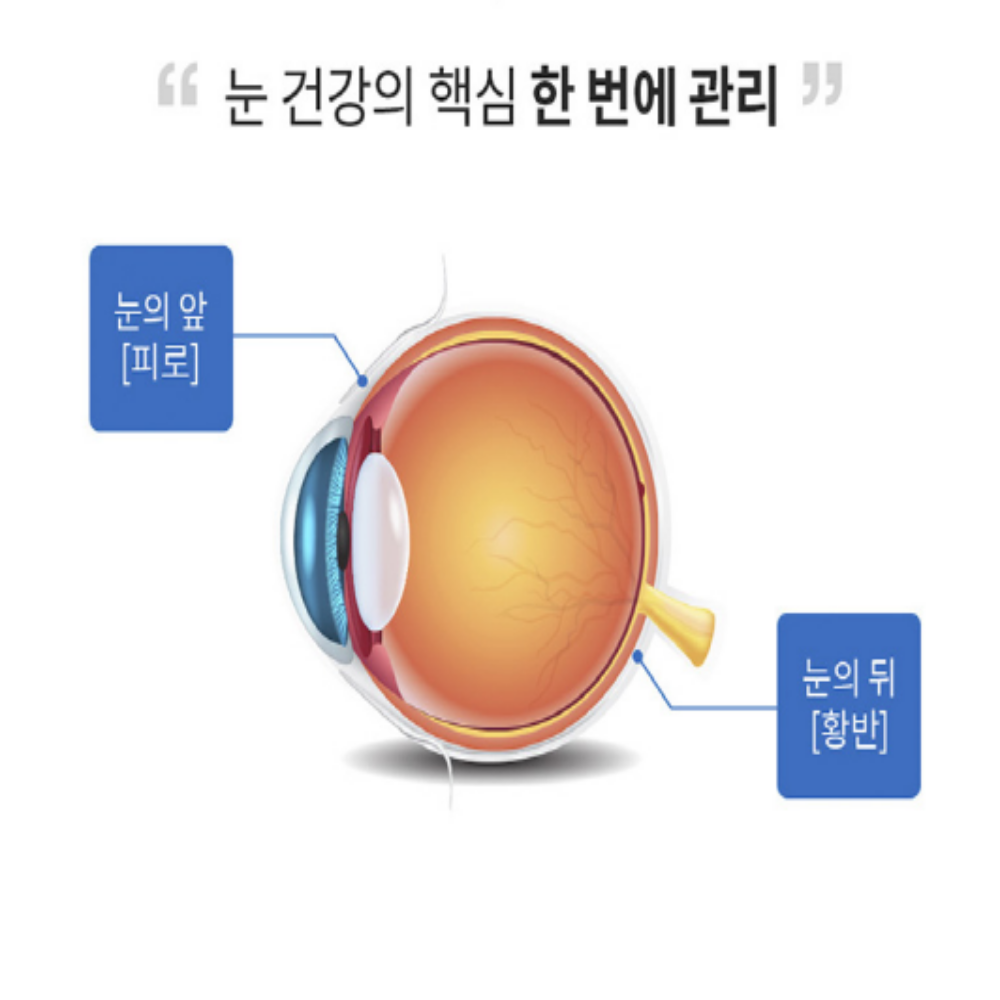 엔젯오리진 하이뷰 루테인 아스타잔틴 눈건강 루테인아스타잔틴 이미지 6