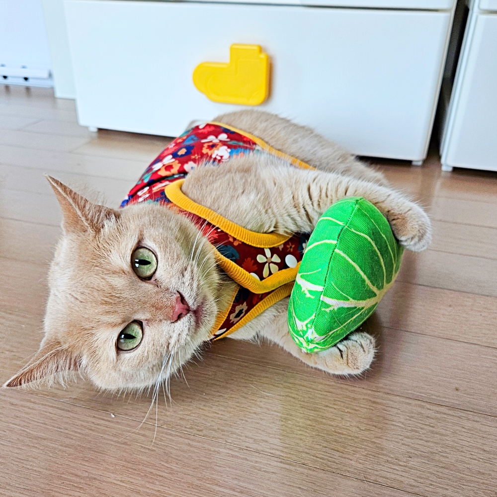 고양이 마약 배추 캣닢쿠션 김장룩 핸드메이드 - 상세 이미지 3