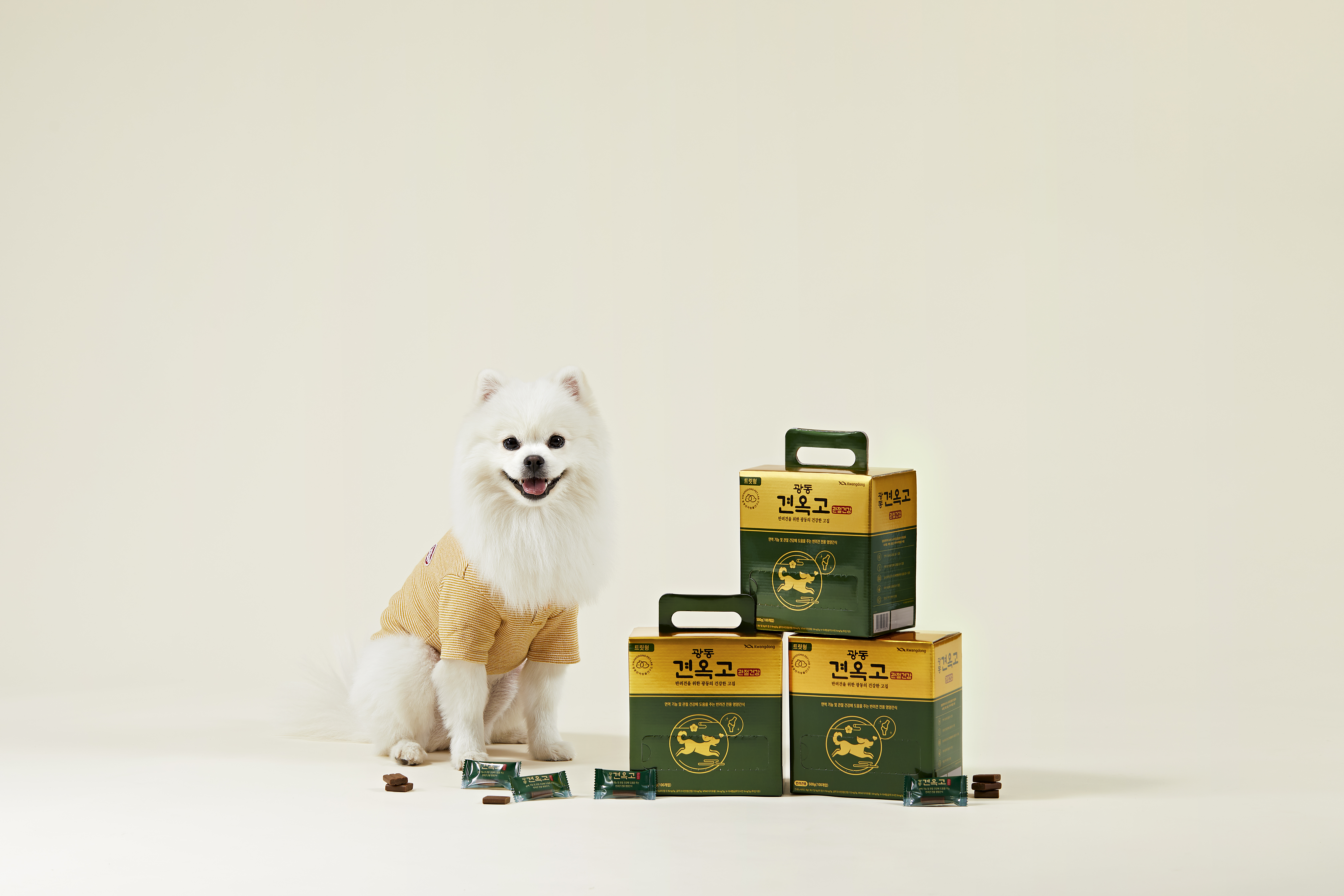 광동 견옥고 강아지 관절건강 영양제 대용량 100개입, 3개