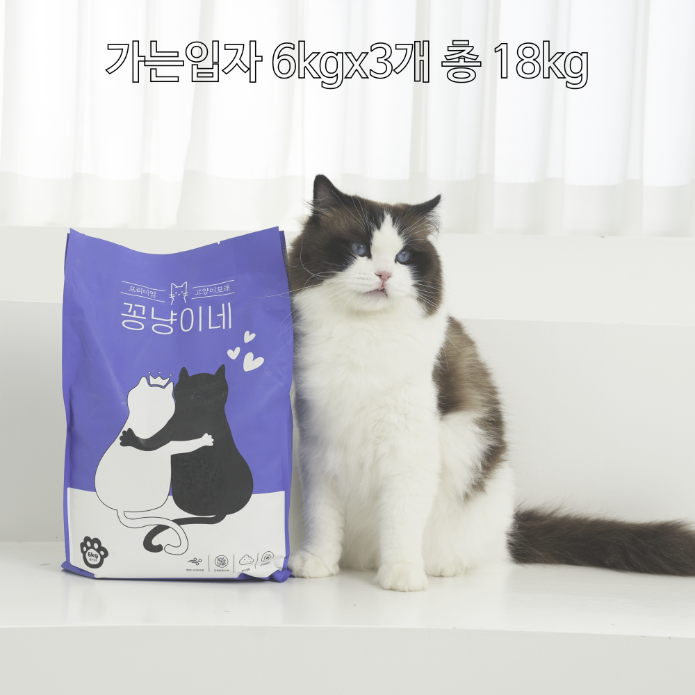 꽁냥이네 스토어변경 - 상세 이미지 2