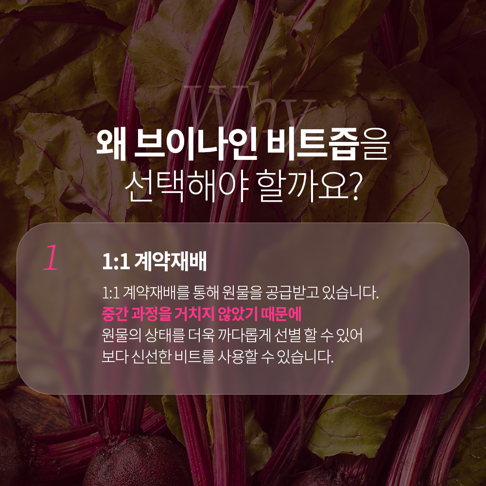 [3+1이벤트] 브이나인 물 없이 만든 비트즙 레드비트즙 100mL 1박스X25포 - 상세 이미지 5