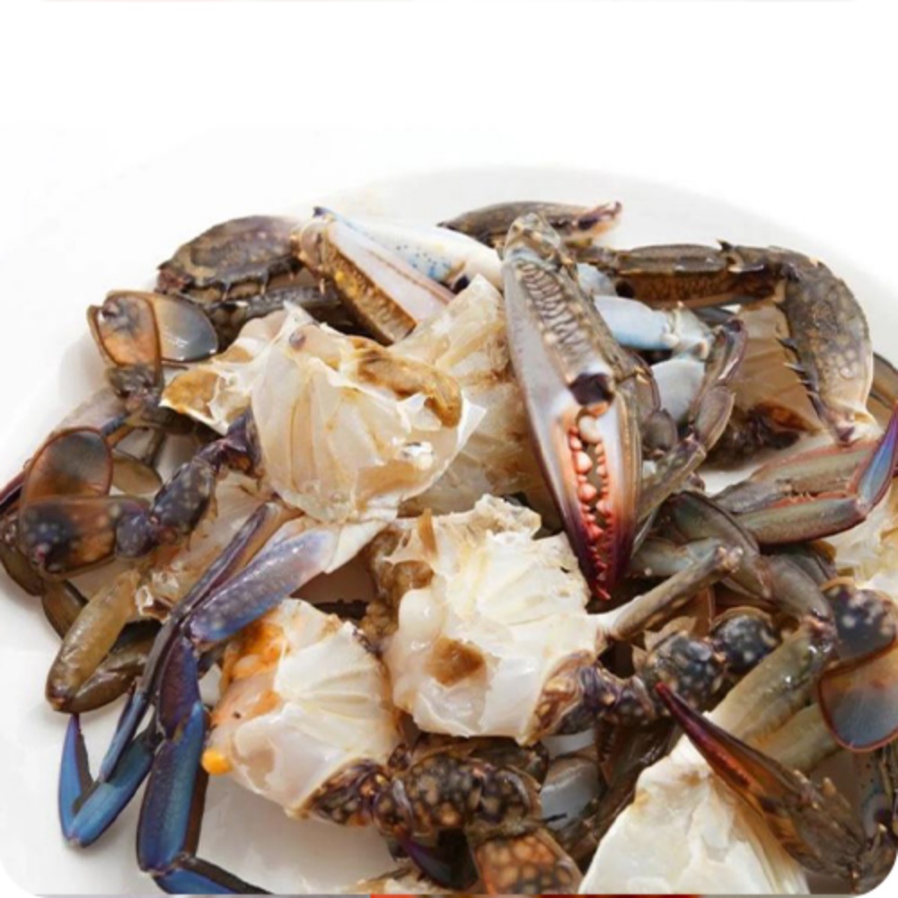 양념 간장게장용꽃게 꽂개 서해 서해안 냉동꽃게 절단게 급냉절단꽃게 꽃개 2kg, 1개 이미지 6
