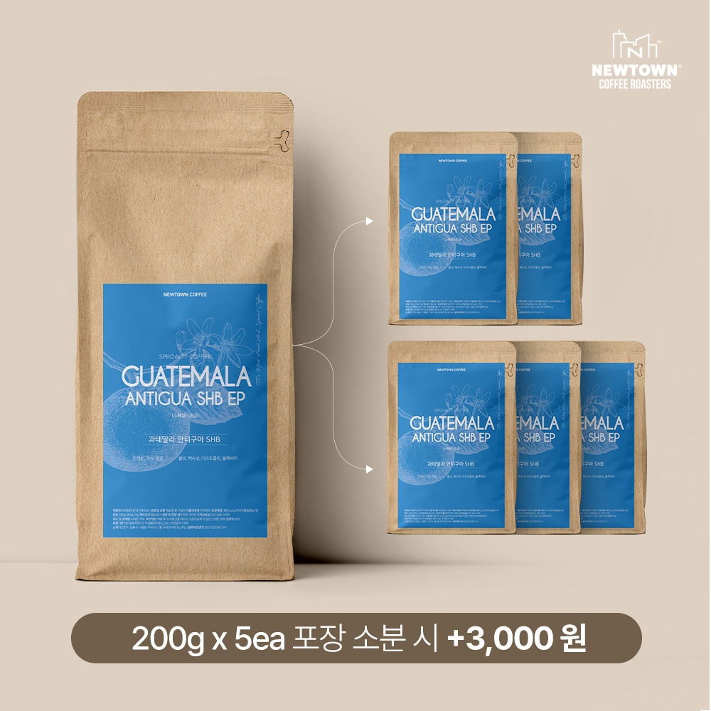 스페셜티 과테말라 안티구아 원두1kg SHB 워시드 홀빈 분쇄 - 상세 이미지 3