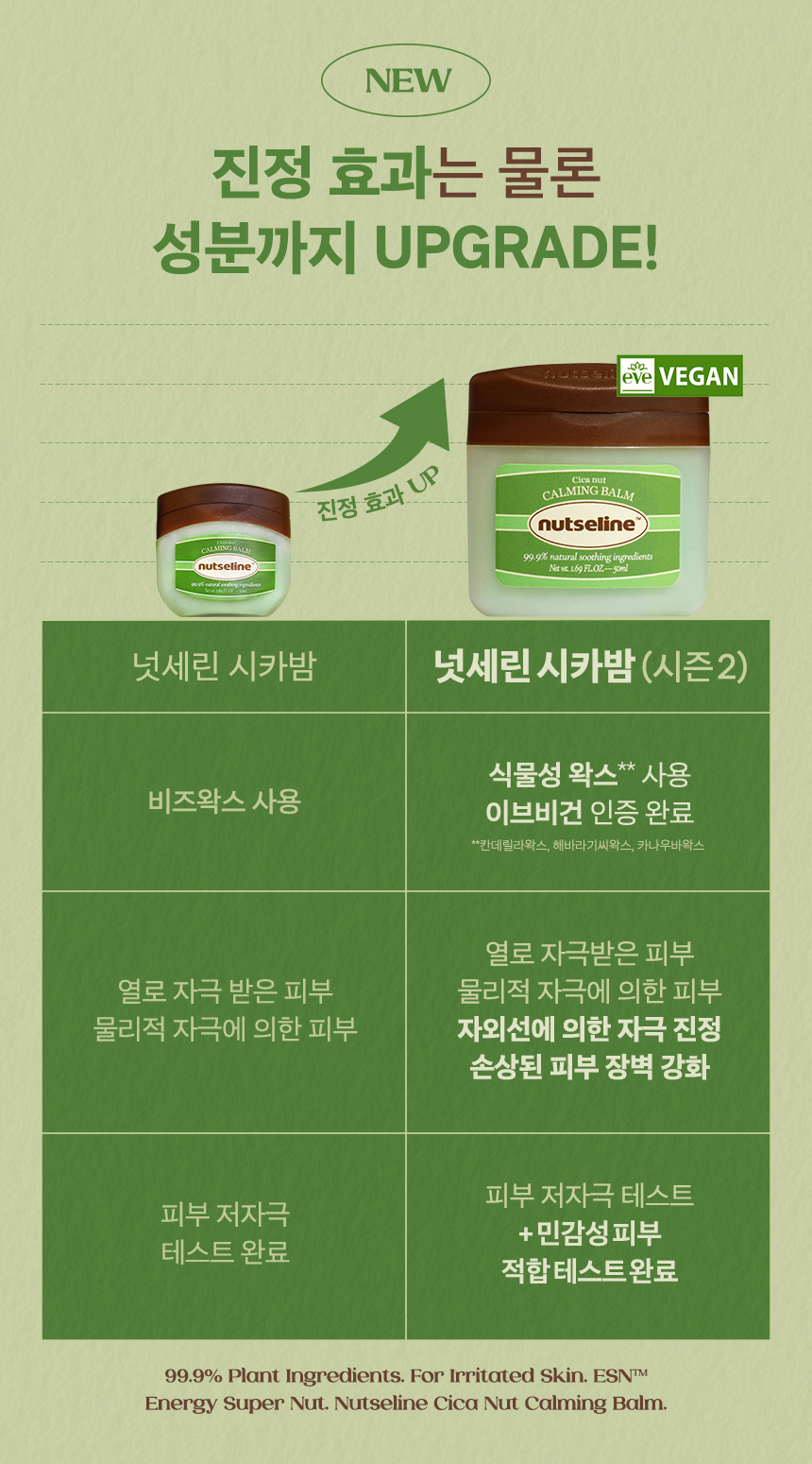 nutseline sunlight duo set