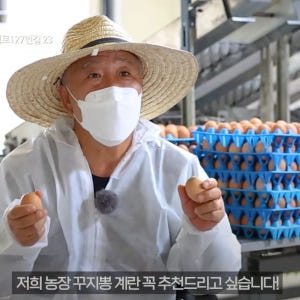 난각번호1번 프리미엄 유정란 꾸지뽕 먹고 자란 자유 방사 유정란 자연방목... 맛있게 먹은 솔직 후기 - 상품 이미지 4