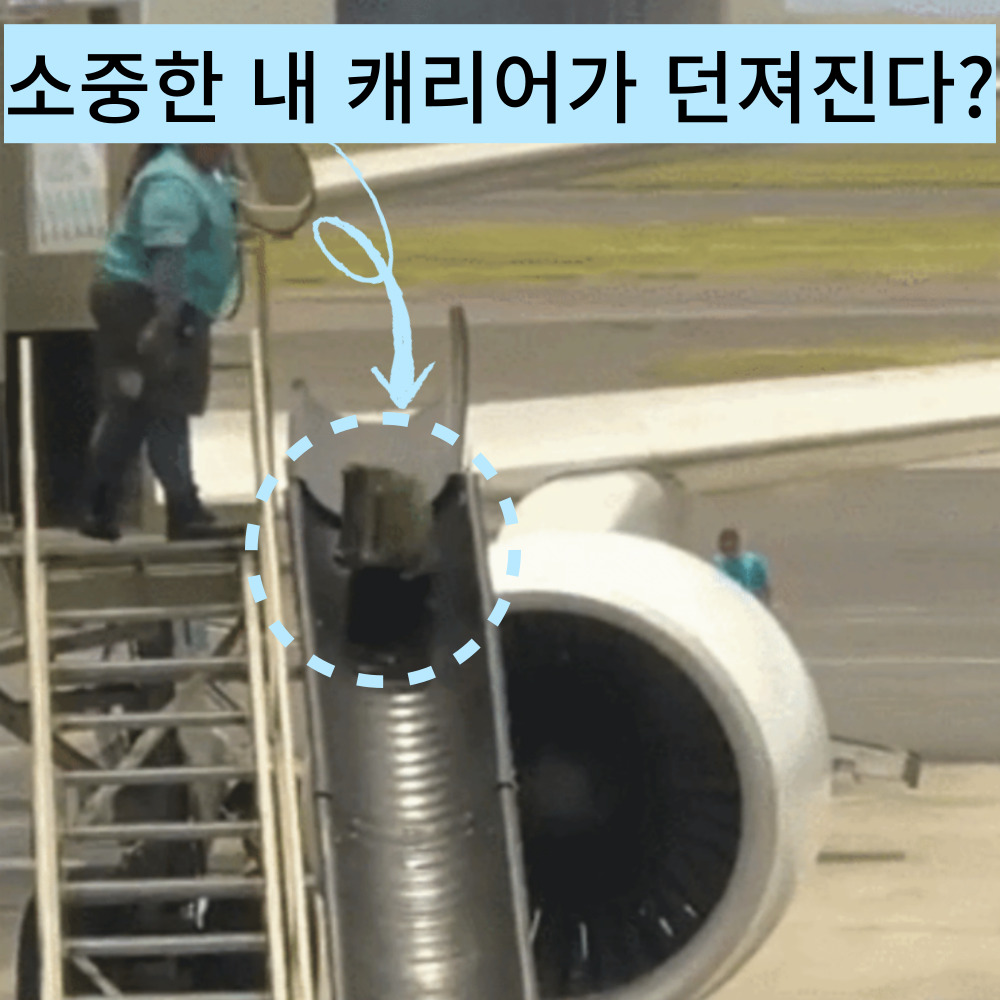 여행용캐리어커버 스판 보호 덮개 항공커버 이미지 2