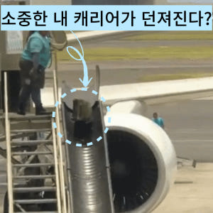 여행용캐리어커버 스판 보호 덮개 항공커버 솔직 후기 | 실사용자 리뷰 분석 - 상품 이미지 2
