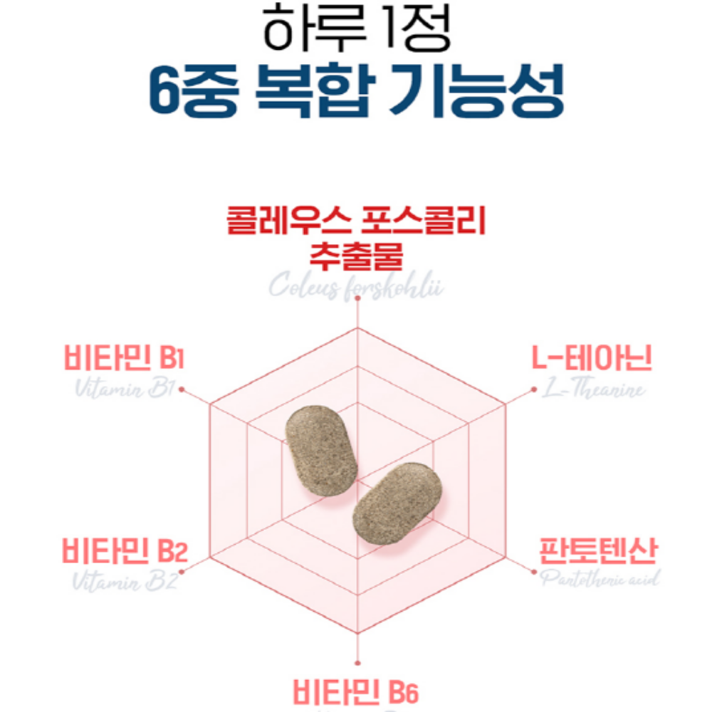 닥터브라이언 퍼펙트핏 콜레우스 포스콜리 녹차 체지방감소 다이어트 이미지 6