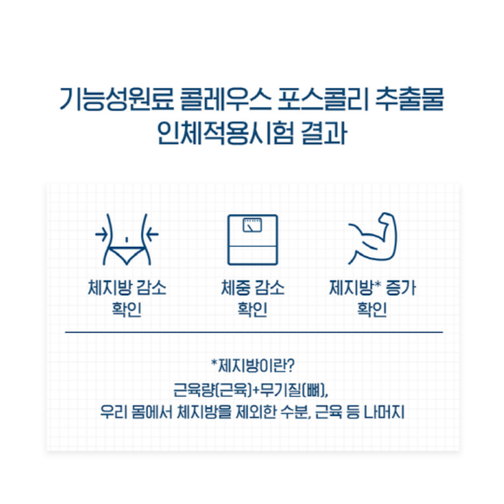 닥터브라이언 퍼펙트핏 콜레우스 포스콜리 녹차 체지방감소 다이어트 이미지 8