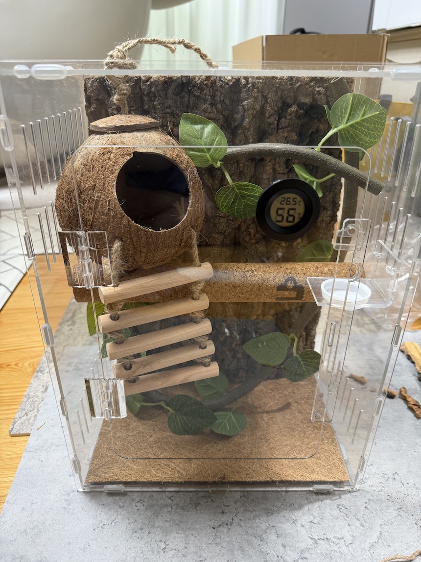 정하남 크레스티드 게코 도마뱀 사육장 초보자 은신처 크리스티드 (30x3... 솔직 후기 | 실제 사용자 리뷰 총정리 - 대표 이미지