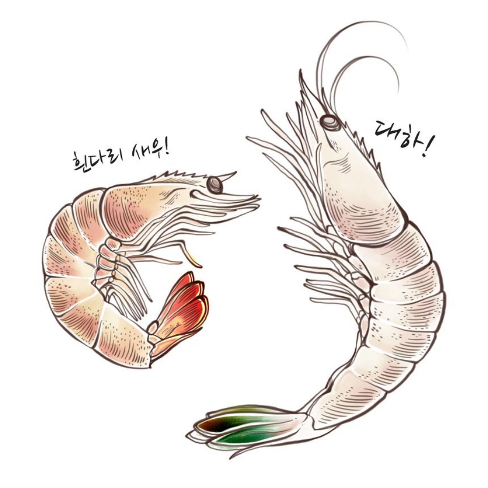 자연산대하 급냉새우 1kg 대하철 냉동생새우 캠핑 구이용새우 1키로 선물 택배 이미지 7