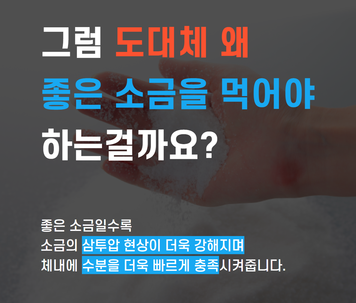 [웰솔트] 용융소금 용용 융용 융융 미네랄소금 500g - 상세 이미지 4