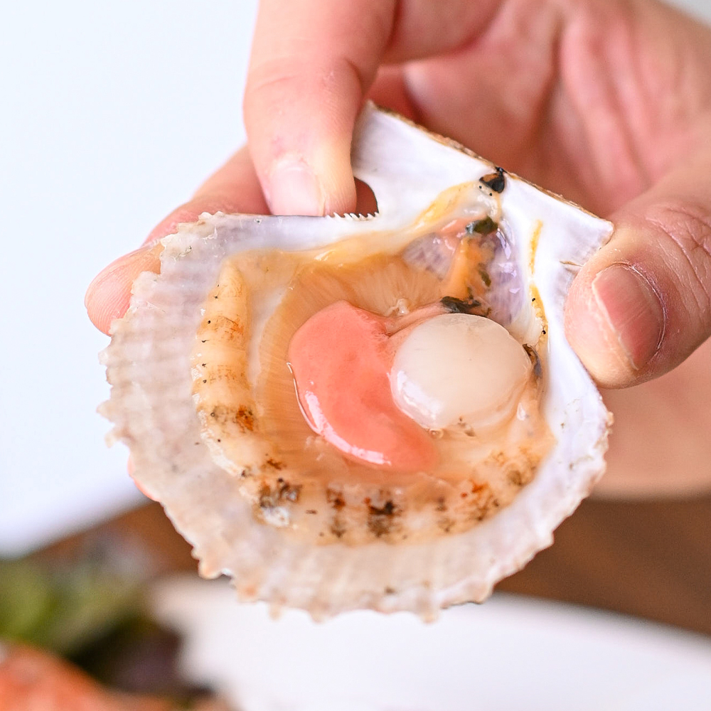 통영 세척 홍가리비 비단가리비 1kg 조개구이 - 메인 이미지