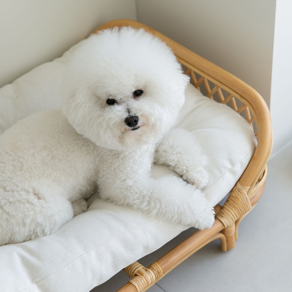에스닉 라탄 강아지침대 쇼파 고양이해먹 애견 펫베드 반려견 방석