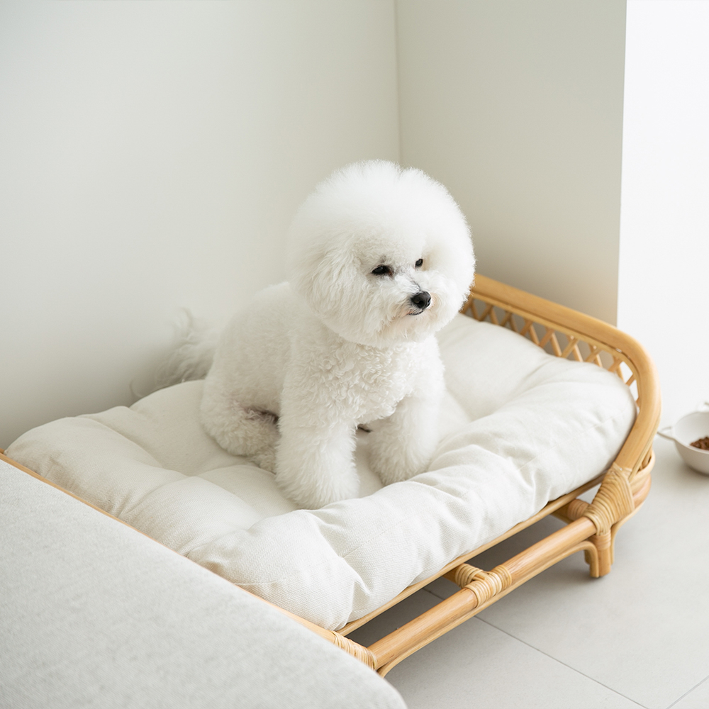 에스닉 라탄 강아지침대 쇼파 고양이해먹 애견 펫베드 반려견 방석