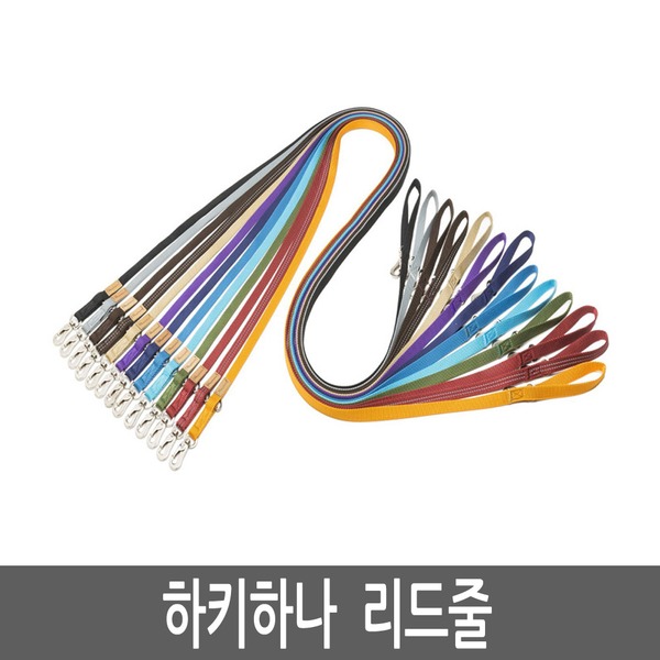 하키하나 강아지 리드줄 목줄 외출용품 - 상세 이미지 2