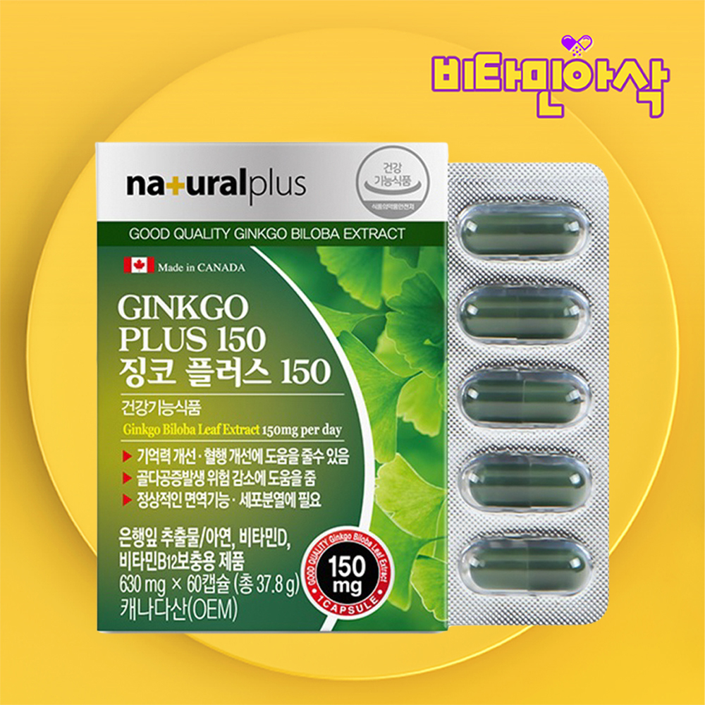 캐나다 징코 빌로바 은행잎추출물 약2개월분 개별포장 기억력 혈행 개선 플라보놀배당체 - 메인 이미지