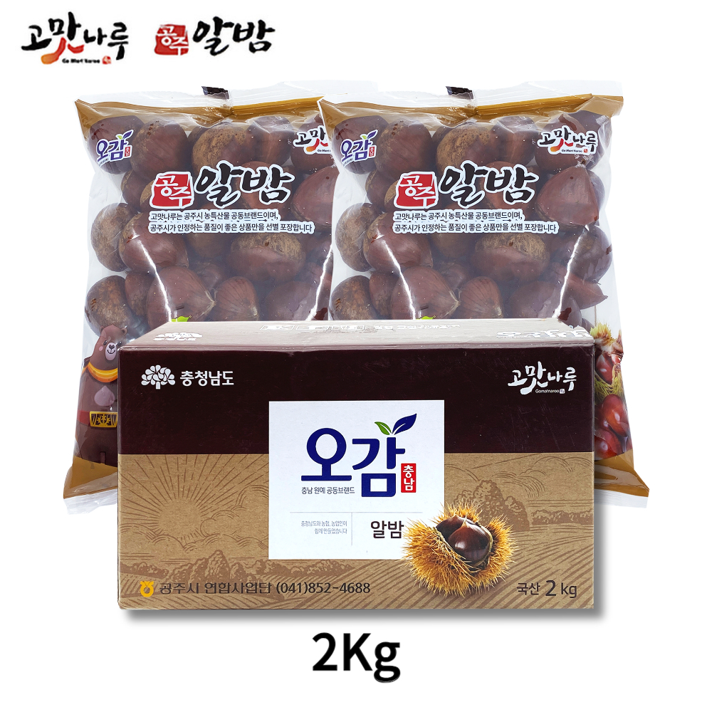 2025년 공주 햇밤 선별 세척 공주알밤 옥광밤 군밤용 칼집밤 4kg 대사이즈 - 상세 이미지 2