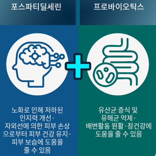 보령 인지력 케어 PS 유산균 2g 30포 6박스 뇌건강 장건강 포스파티딜세린 비타민DE - 상세 이미지 3