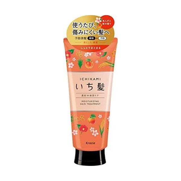 이치카미 덴스 W 모이스처라이징 케어 트리트먼트 6.3 oz 180 g x 2팩 : 이테크랩02