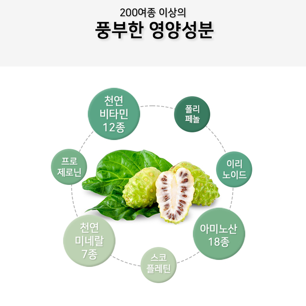 베트남 노니 효능 과립 30포 동결건조 스틱형 다비엣노니 분말 이미지 8