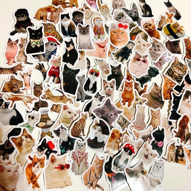 고양이 스티커 냥이 반려묘 사진스티커 패키지 - 상세 이미지 2