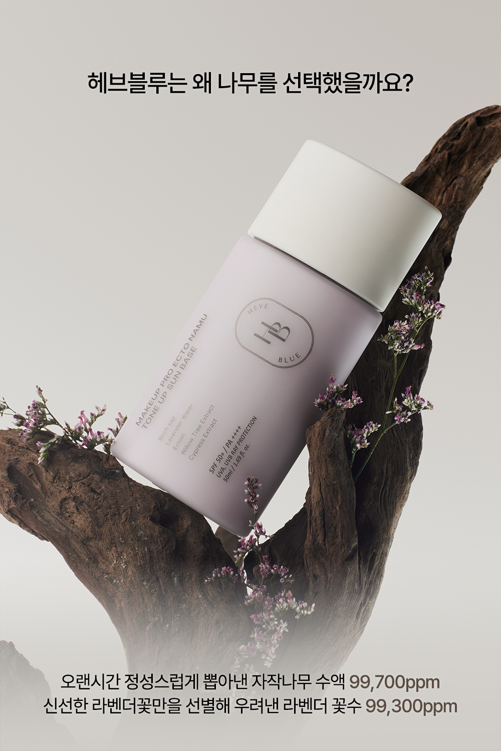korean ectoin tone up sun base