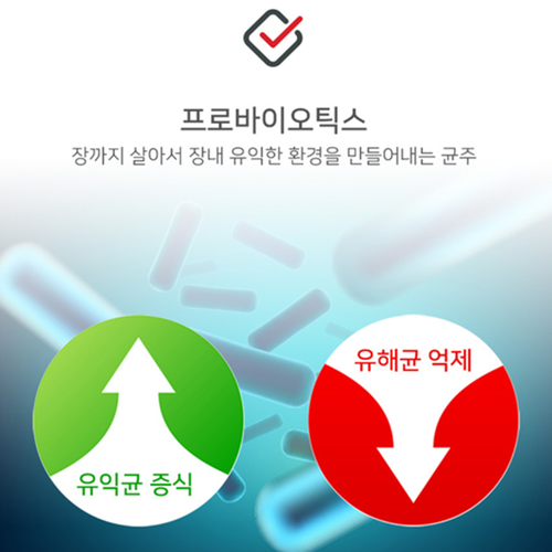 보령 프로바이오틱스 밀크씨슬 60캡슐 2박스 4개월 장건강 간건강 10억 유산균 실리마린 - 상세 이미지 4