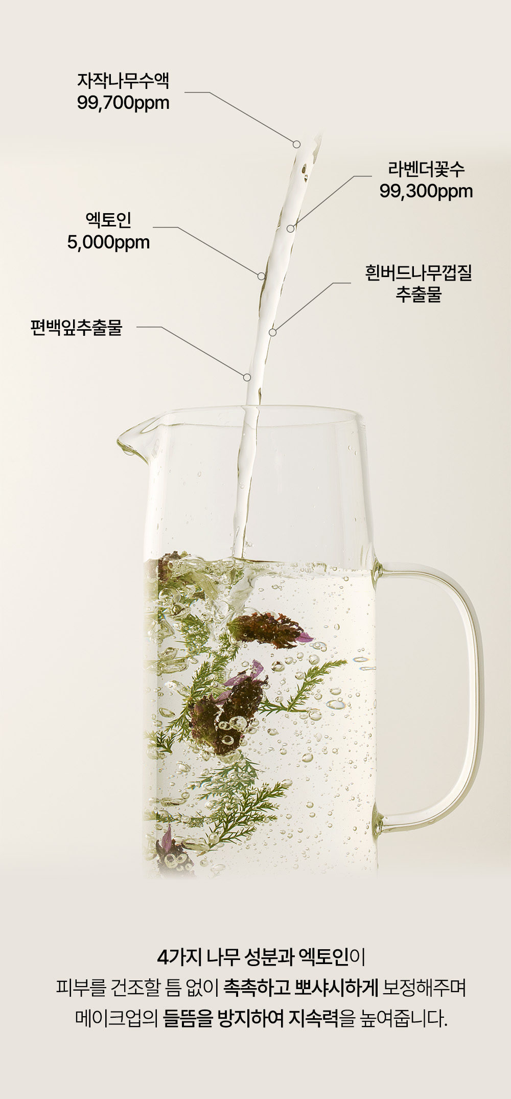 korean ectoin tone up sun base