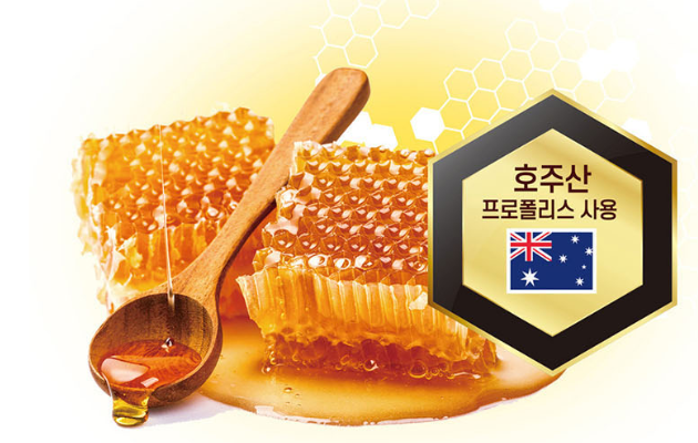 호주프로폴리스 효능 아이허브 면역력에좋은영양제 면역력높이는 약한달분 - 상세 이미지 2