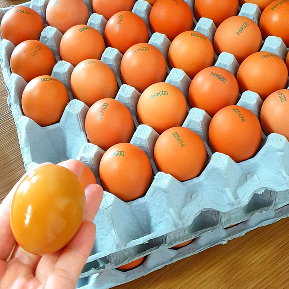 [판매가 인하]구운계란 구운란 반숙란 반숙계란 30구/메가히트 훈제란 파손보상 해와바다