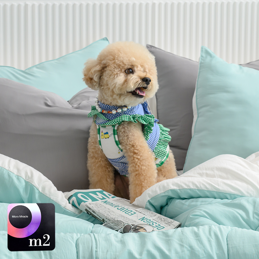 강아지털안붙는 차렵이불 SS 모달 마이크로화이바 이불 알러지방지 사계절 간절기 부드러운