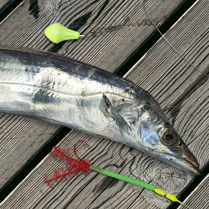 문라이트 갈치를 유혹하는 레드컬러바늘 MLT-03 갈치 텐빈 채비 야광 틴셀 천평 파이프