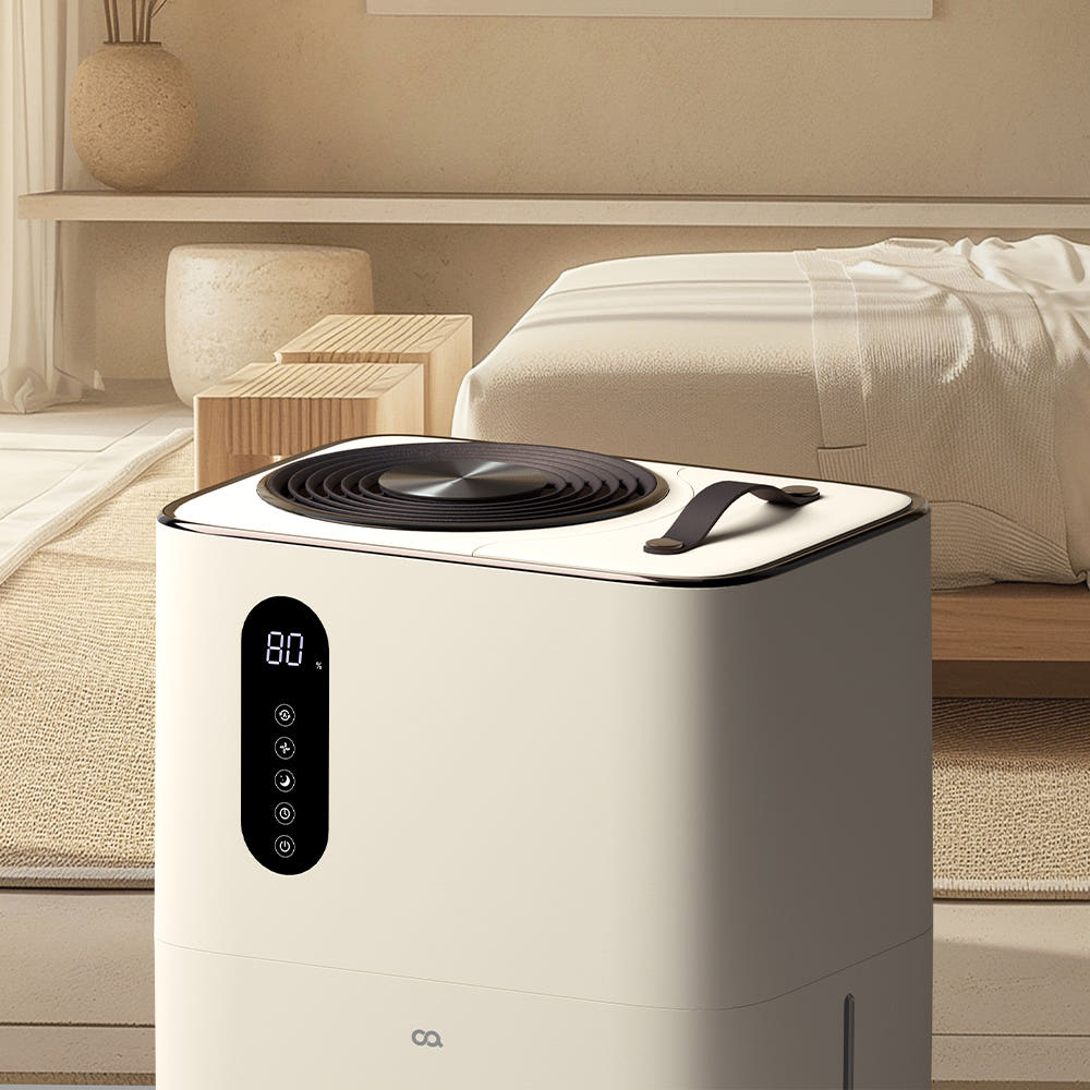 오아 플렌티 이미지 2