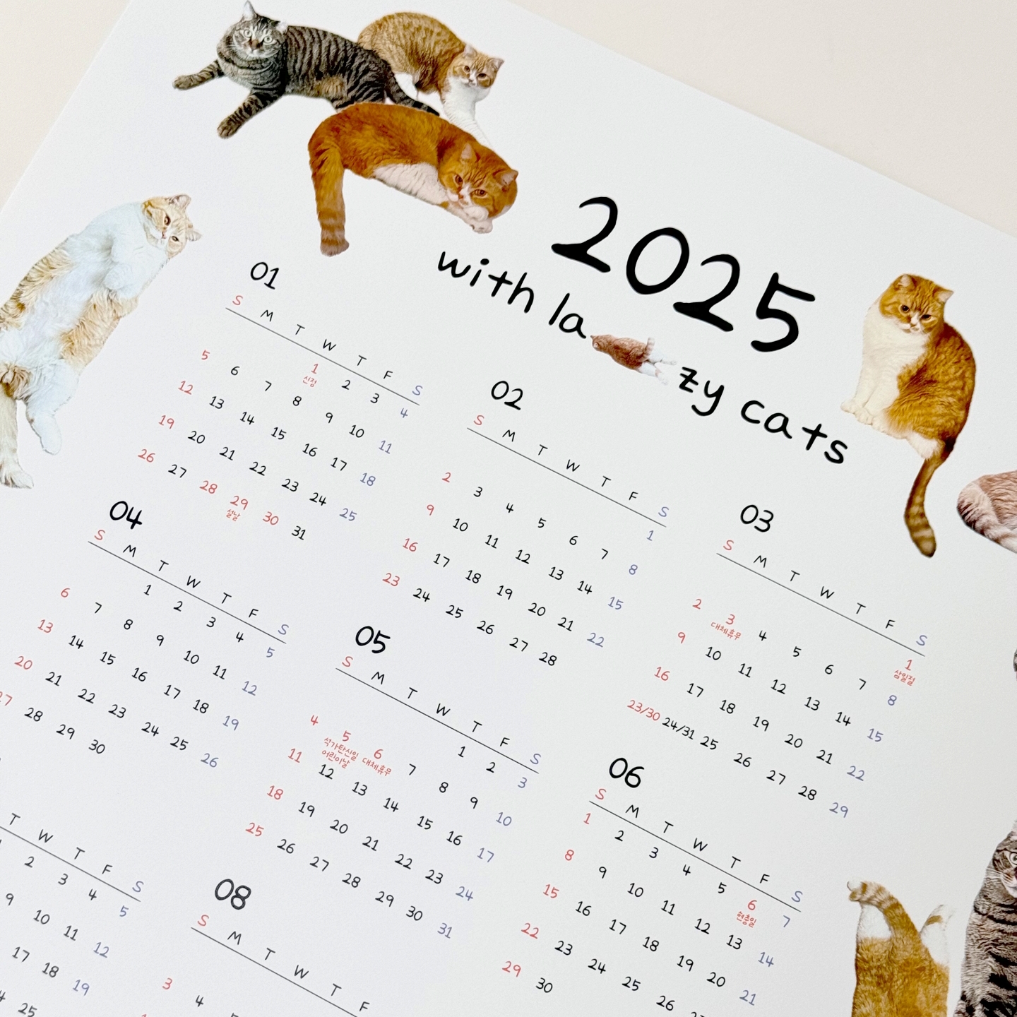 2025년 벽걸이 고양이 대형 1년 포스터 벽 한장 달력 감성 인테리어 연력 중형 리얼캣 - 메인 이미지