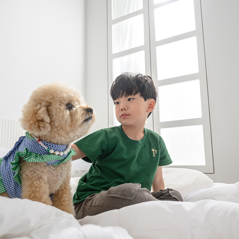 강아지털안붙는 차렵이불 SS 모달 마이크로화이바 이불 알러지방지 사계절 간절기 부드러운