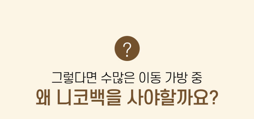 리스펫 니코백 강아지 고양이 이동가방 가방 이동장 켄넬 산책 백팩 판매처 상세 정보 이미지 4