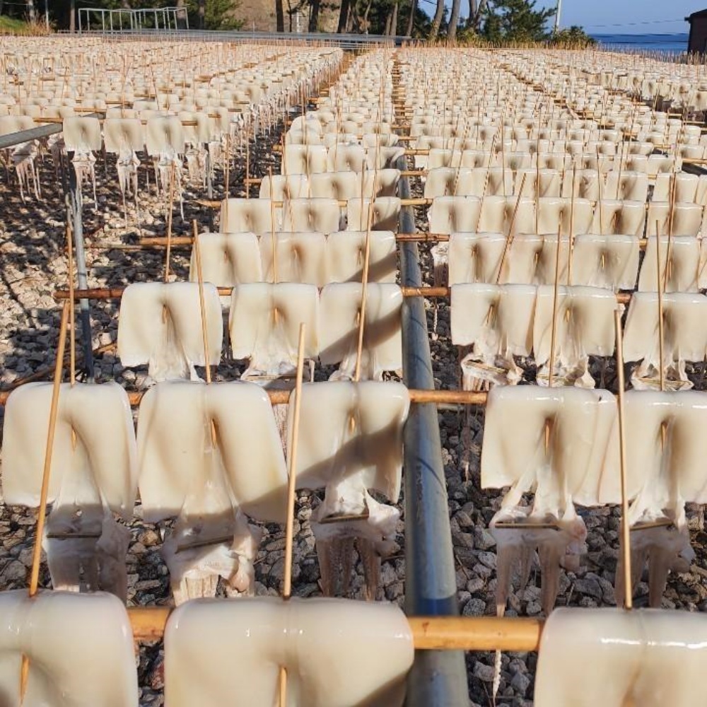 마른안주종류 반건오징어 부드러운 말린오징어 피데기오징어 600g, 1개