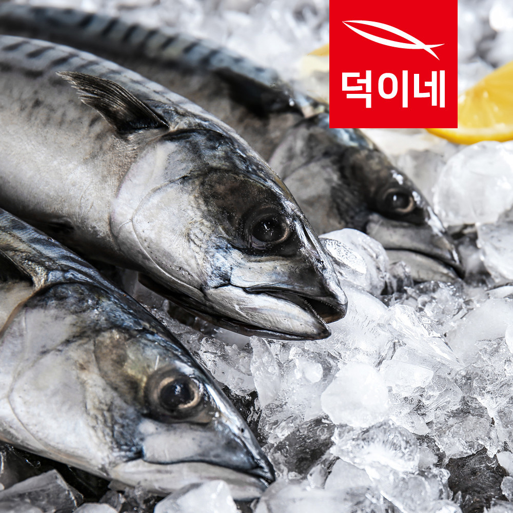 국내산 손질고등어 2미 32-40cm 산지직송