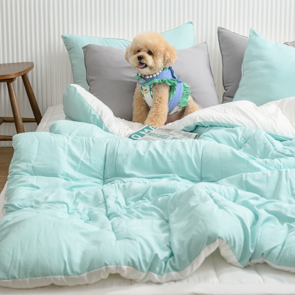 차렵이불 SS 모달 마이크로화이바 이불 알러지방지 사계절 간절기 부드러운 강아지털안붙는
