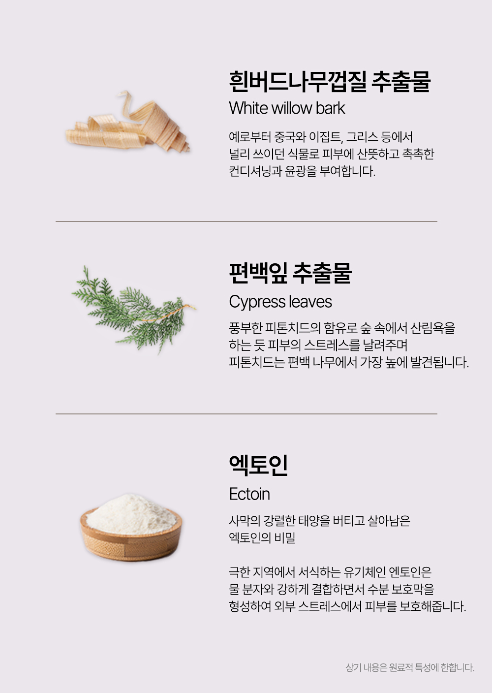 korean ectoin tone up sun base