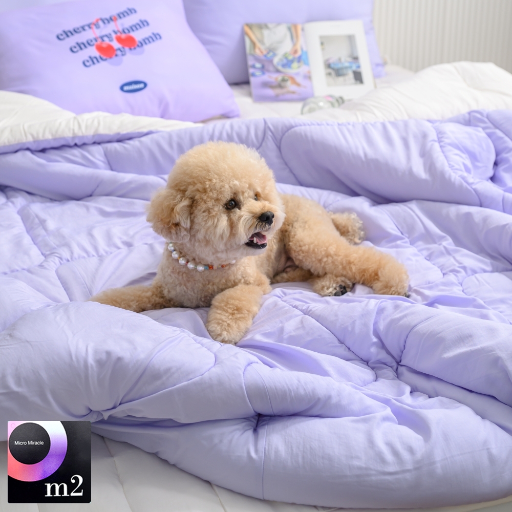 기숙사이불 알러지방지 차렵이불 SS 사계절 간절기 모달 마이크로화이바 강아지털안붙는